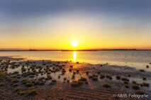 Foto Neusiedlersee
