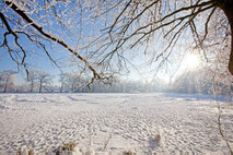 Winter Foto