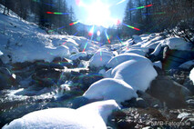 Winter Foto