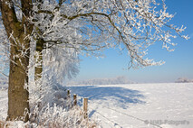 Winter Foto