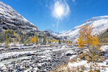 Winter Foto