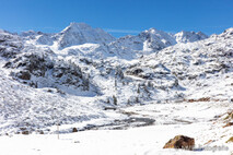 Winter Foto