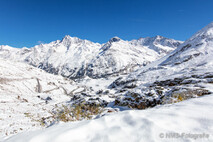 Winter Foto