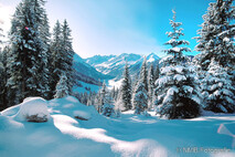 Winter Foto