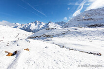 Winter Foto