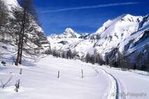 Winter Foto