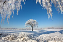 Winter Foto