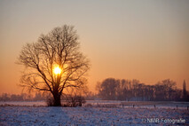 Winter Foto