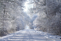 Winter Foto
