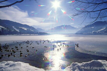 Winter Foto