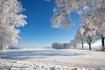 Winter Foto
