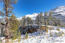 Winter Foto