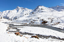 Winter Foto