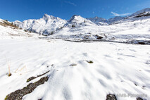 Winter Foto