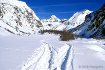 Winter Foto