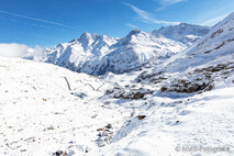 Winter Foto
