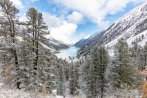 Winter Foto