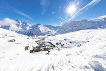 Winter Foto