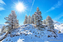 Winter Foto