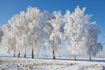 Winter Foto