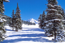 Winter Foto