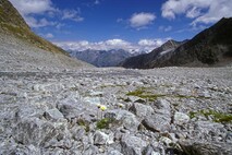Lanschaftsfotografie Berge