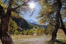Lanschaftsfotografie Berge