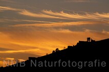 Lanschaftsfotografie Berge