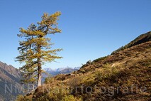Lanschaftsfotografie Berge