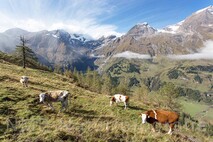 Lanschaftsfotografie Berge