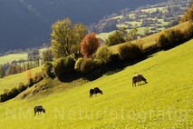 Lanschaftsfotografie Berge