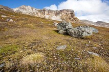 Lanschaftsfotografie Berge