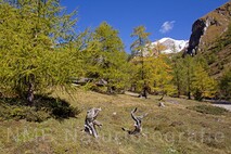 Lanschaftsfotografie Berge