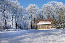 Winter Foto
