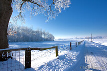 Winter Foto