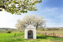 Frühling